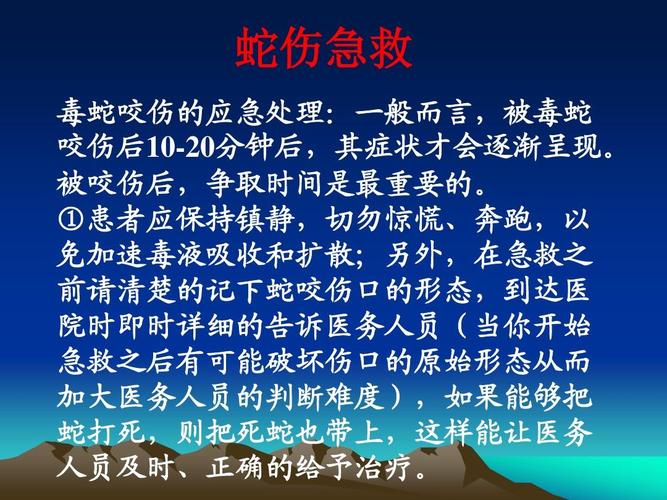 2025年6月5日 第325页
